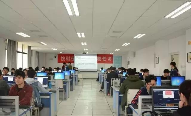 软件工程专业学生，怎么样迅速提高自己编程能力？