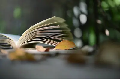 北京师范大学在职博士报考要求多不多呢？